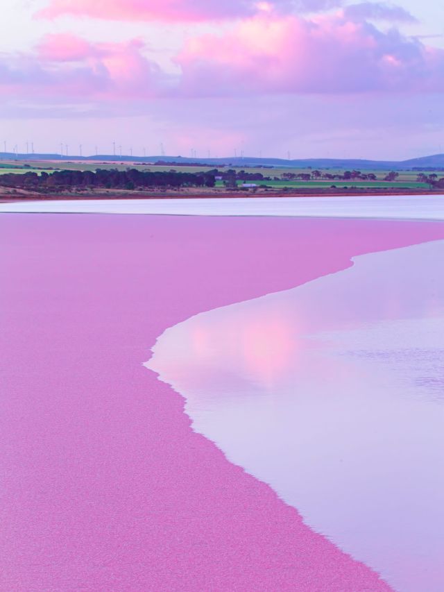 Lake Bumbunga, Clare Valley