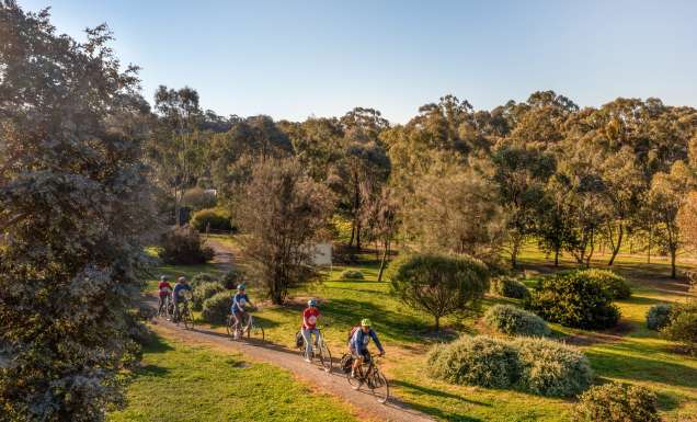 Tour De Vines, Clare Valley Riesling Trail