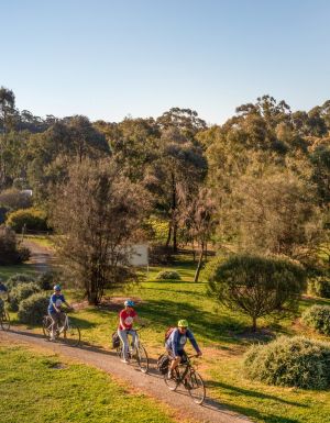 Tour De Vines, Clare Valley Riesling Trail