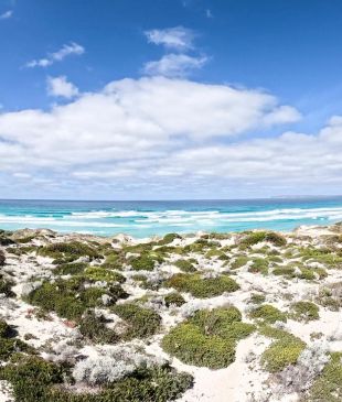 <p><i>Capturing the</i> <strong>Eyre Peninsula</strong>: A GoPro adventure</p>
