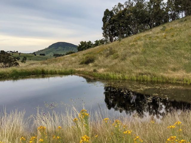 camping at Hillsdale Farm Mudgee