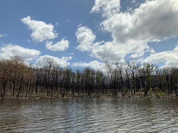 the Lake Yarrunga campgrounds in Kangaroo Valley