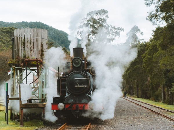 the Lynchford Express on a Christmas in July steam trip