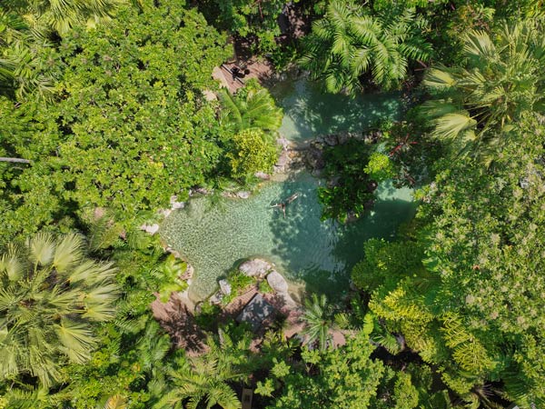 Aerial view of woman swimming in the pool at Silky Oaks Lodge