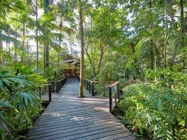 Reception of Silky Oaks Lodge