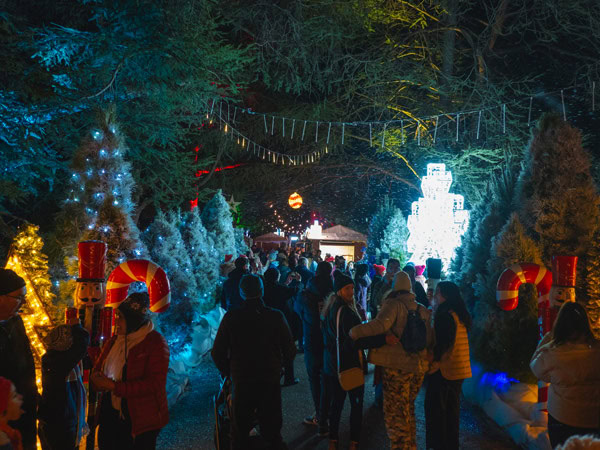 Snowlane at the Xmas in July Festival in Canberra