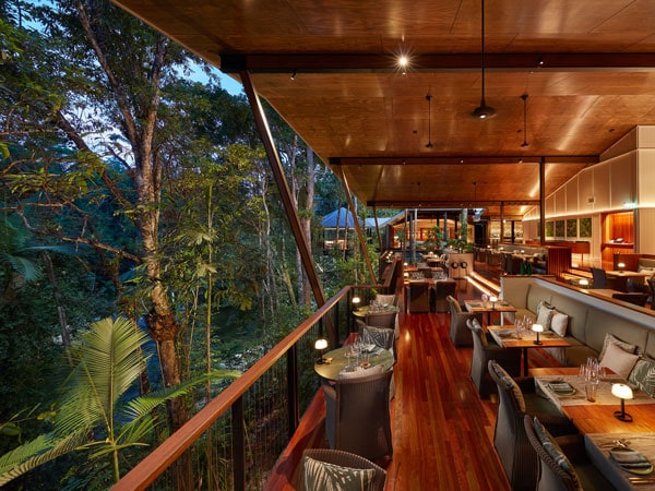 Views from the Treehouse Restaurant with tables set for dinner