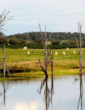 Camp by Windamere Dam