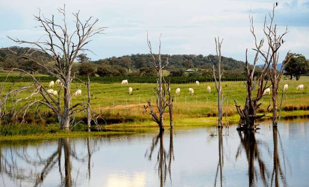 Camp by Windamere Dam