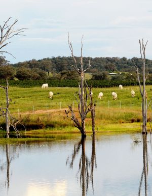 Camp by Windamere Dam
