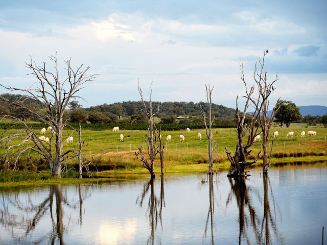 Camp by Windamere Dam