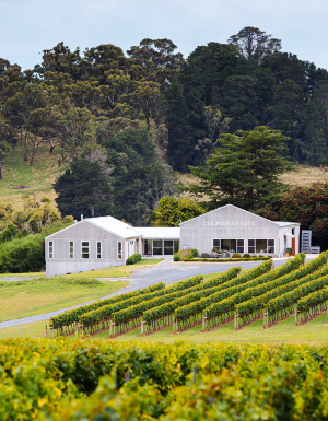Best Orange wineries to visit