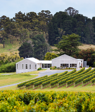 <p><i>23 of the best</i> <strong>Orange</strong> wineries you must visit</p>
