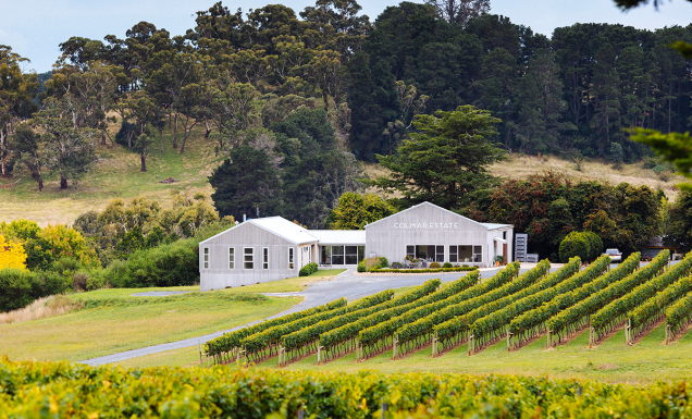 Best Orange wineries to visit