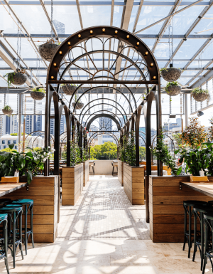 Brisbane breweries