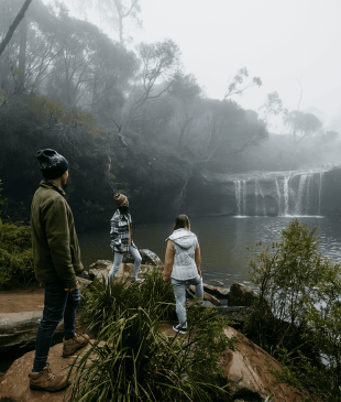 <p><i>7 of the best campgrounds</i> in and around <strong>Kangaroo Valley</strong></p>
