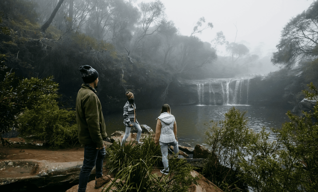 Kangaroo Valley camping at Carrington Falls campground.
