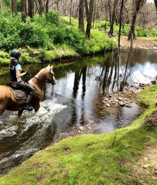 <p><i>20 of the best things to do</i> in <strong>Kangaroo Valley</strong></p>
