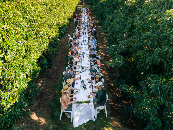 The Curated Plate on the Sunshine Coast, Qld