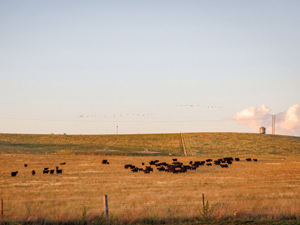 Rest | Private Escape in Bathurst, NSW