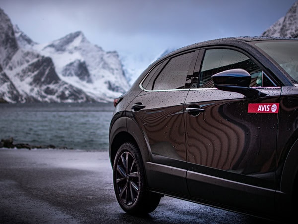 a car rental from Avis