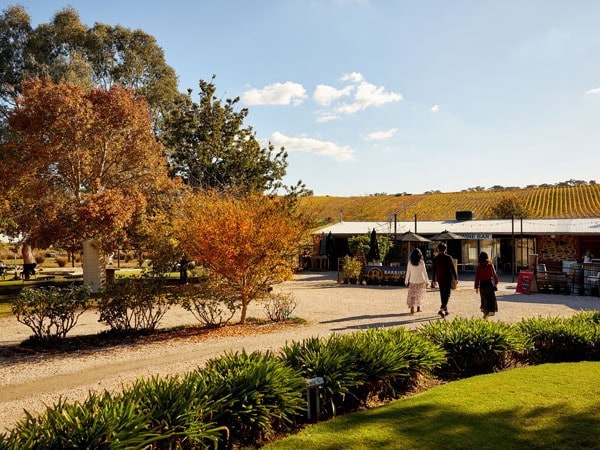 friends strolling around Barristers Block