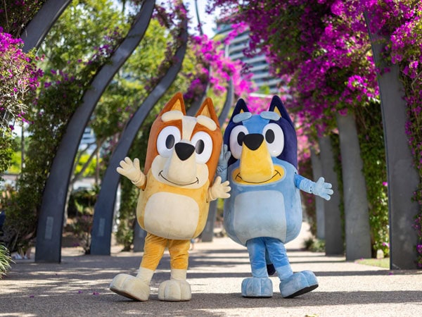 Bluey and Bingo along the Grand Arbour’s vibrant Bougainvillea flower display