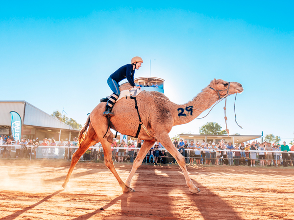 Desert Champions Way: Outback Camel Trail in Queensland