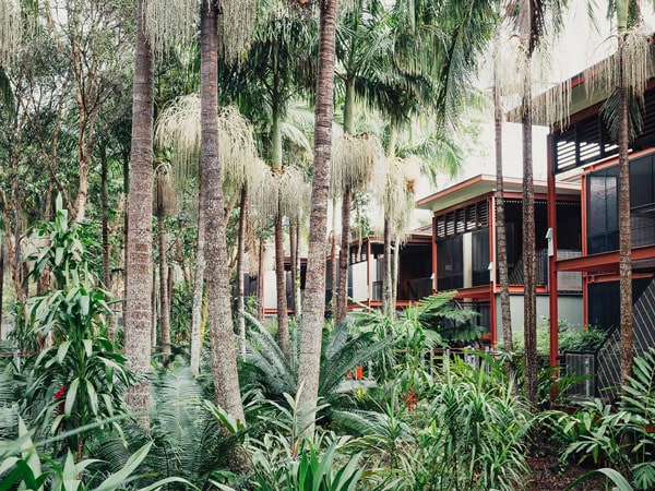 the Crystalbrook Byron nestled within palm trees