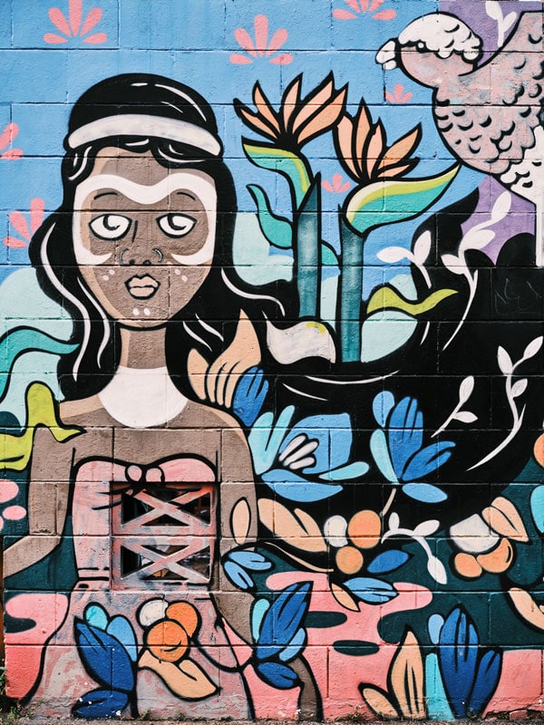 the Darwin street art