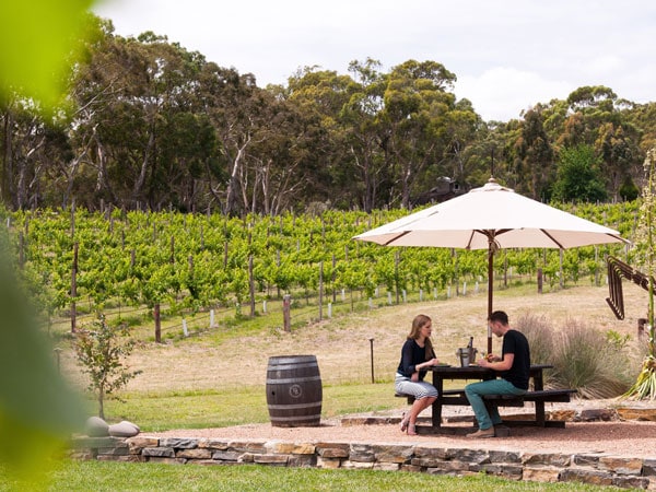 a couple sitting under an umbrella in the vineyard at Deviation Road, Adelaide Hills