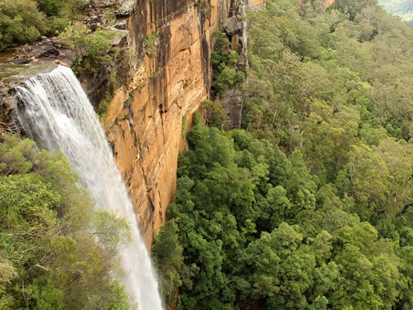 the water at Fitzroy Falls cascades down a forest
