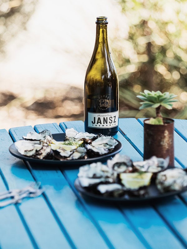 oysters and wine at Get Shucked bruny island