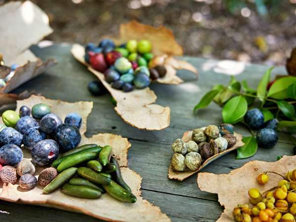 An arrangement of Indigenous bush food