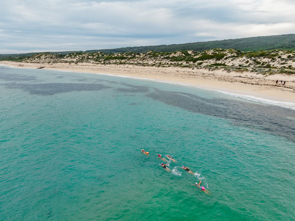 an aerial view of swimmers along Gnarabup Beach
