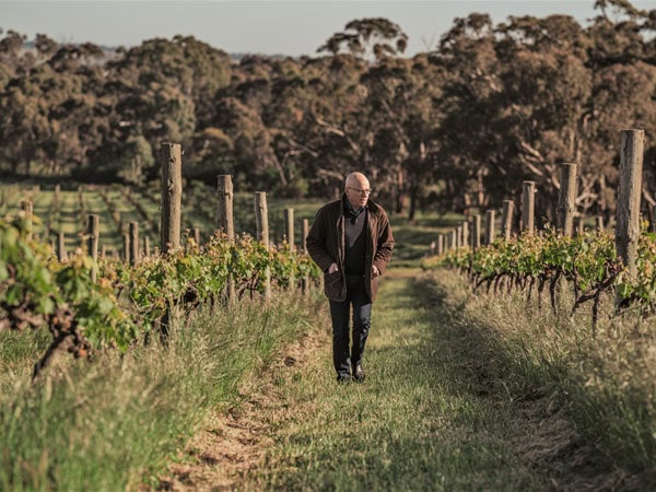 a man strolling along the vineyard at Grosset Wines