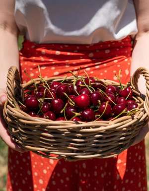 Valley Fresh Cherries in Young NSW