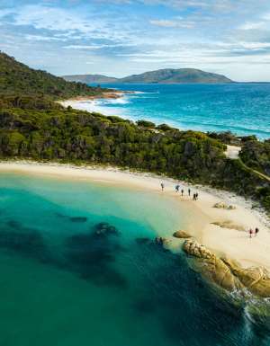 an aerial view of sapphire seas and lush greenery on Flinders Island