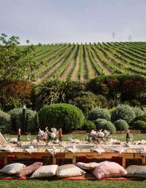 an outdoor picnic setup with a triangle tent overlooking the vines at Golding Wines