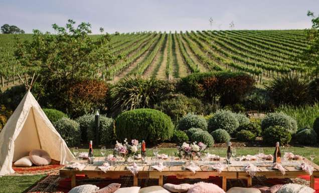 an outdoor picnic setup with a triangle tent overlooking the vines at Golding Wines