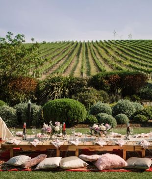 <p><i>15</i> <strong>Adelaide Hills</strong> wineries you must visit</p>
