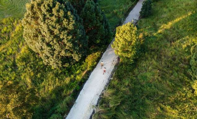 21 rail trails around Australia to take you to the next gear