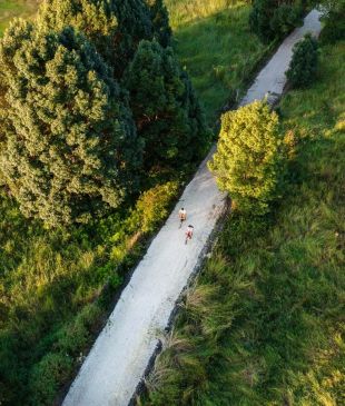 <p><i>21 rail trails around</i> <strong>Australia</strong> <i>to take you to the next gear</i></p>
