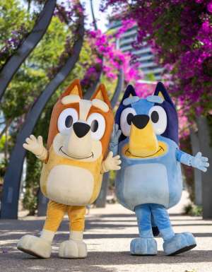 Bluey and Bingo along the Grand Arbour’s vibrant Bougainvillea flower display
