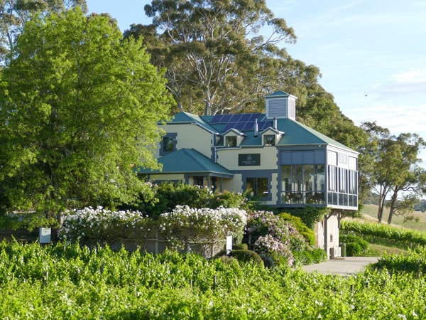 the cellar door of Hahndorf Hill surrounded by a vineyard