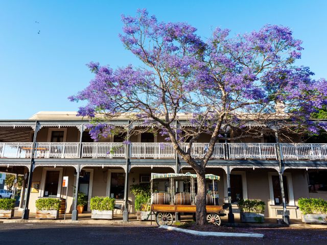 Jacarandas Grafton Roches Family Hotel