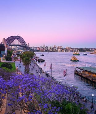 <p><i>The 8 best places to see jacarandas</i> around <strong>Australia</strong></p>
