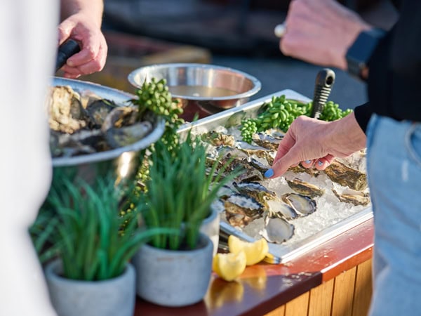 sydney rock oysters being served at Jim Wild's Oysters