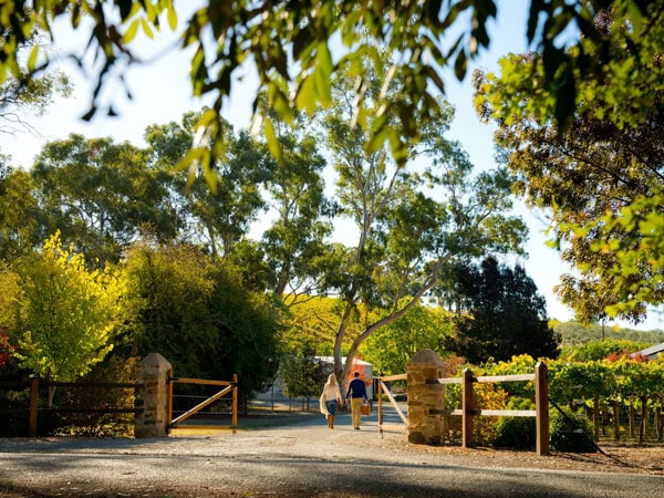 two people exploring Kilikanoon Wines