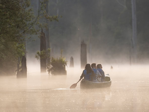 Canoe around the misty Lake Elizabeth with Otway Eco Tours